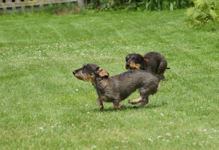 DSC02210