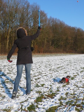 Jeux de balle