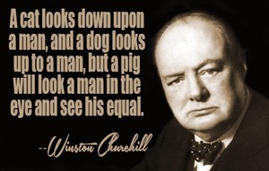 winston churchill quote 3